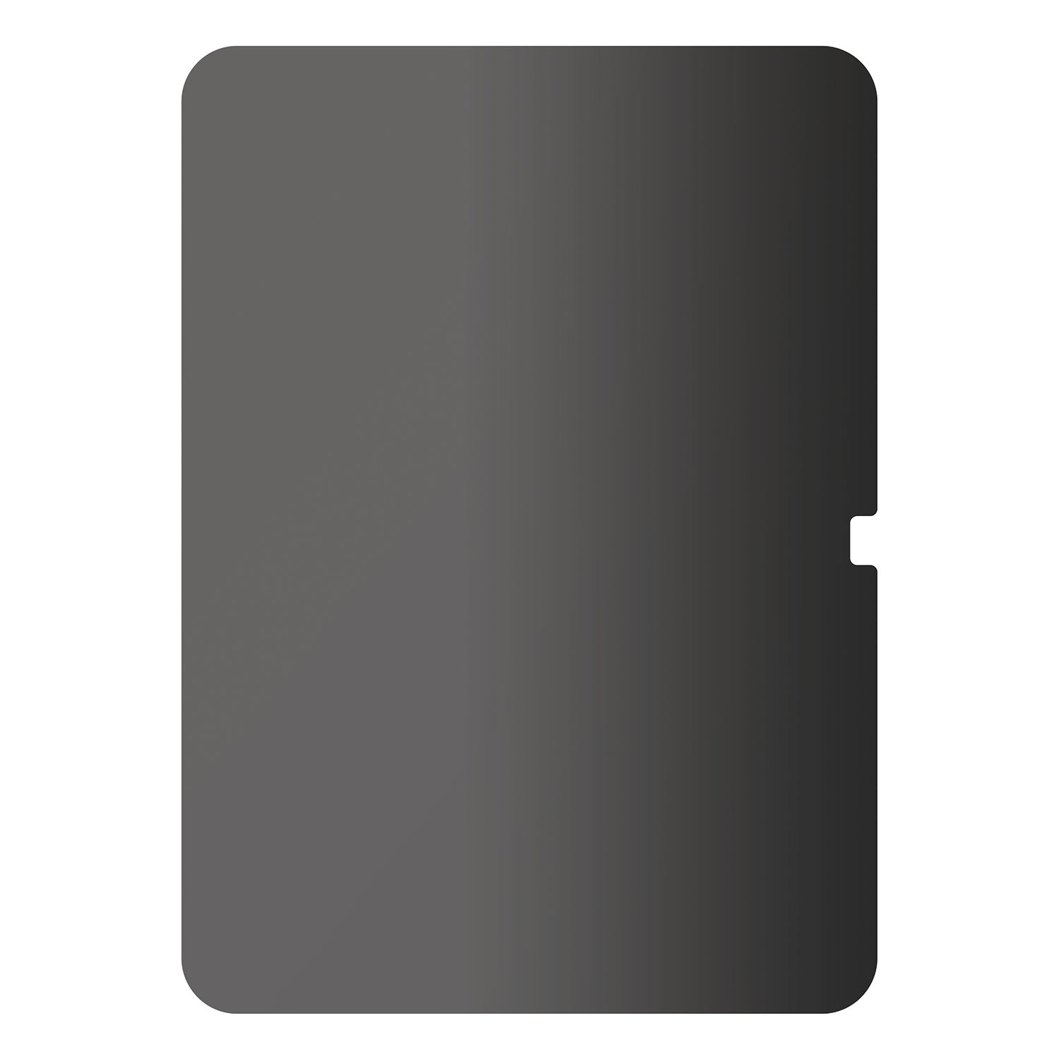 Privacy Tempered Glass - iPad 10.9"
